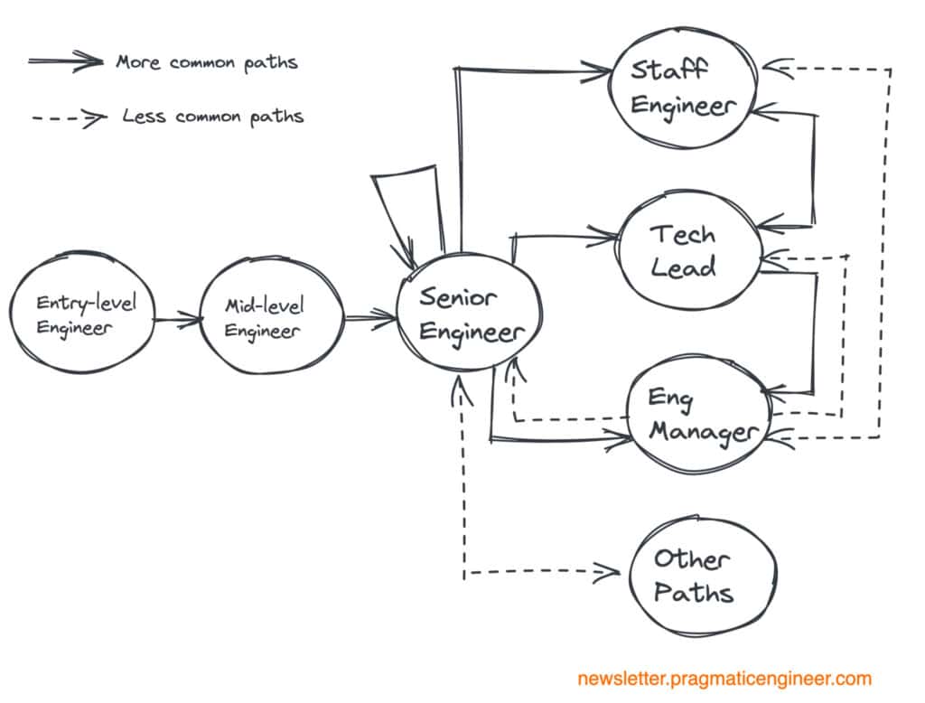 Software Engineering Career Path What Why And How Anthropos 