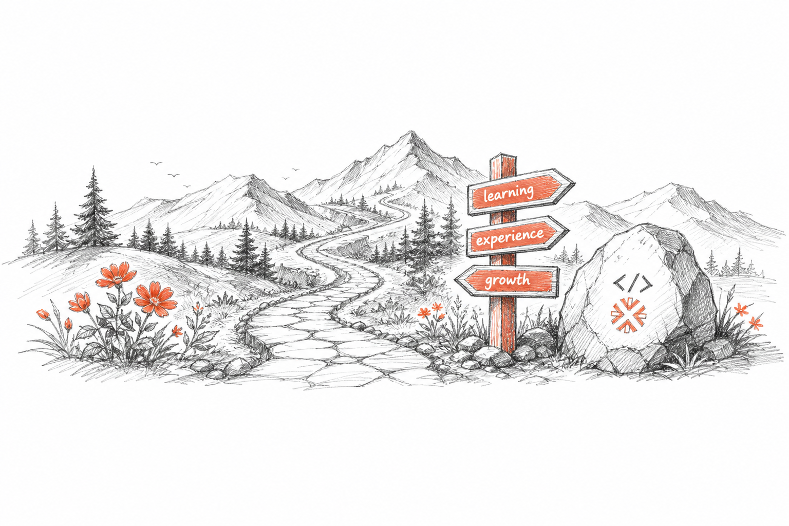 Software engineering career path: what, why and how