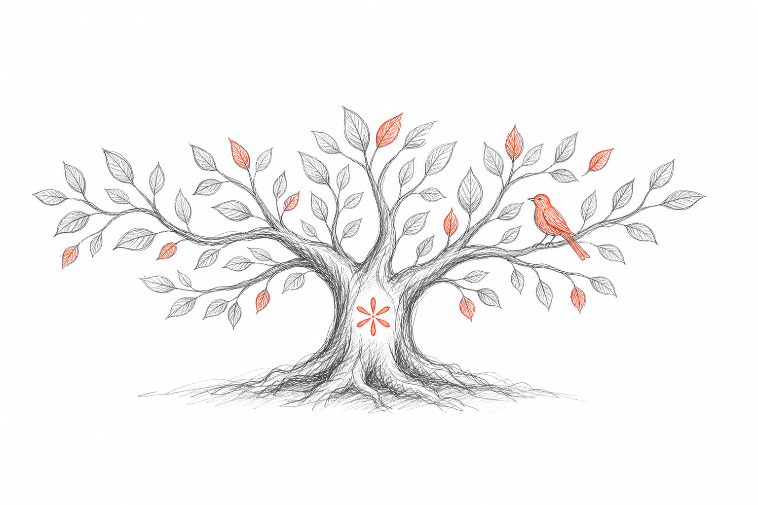 Introducing Anthropos Premium: our new plan to invest in your career